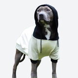 Olive Cream Dog Hoodie