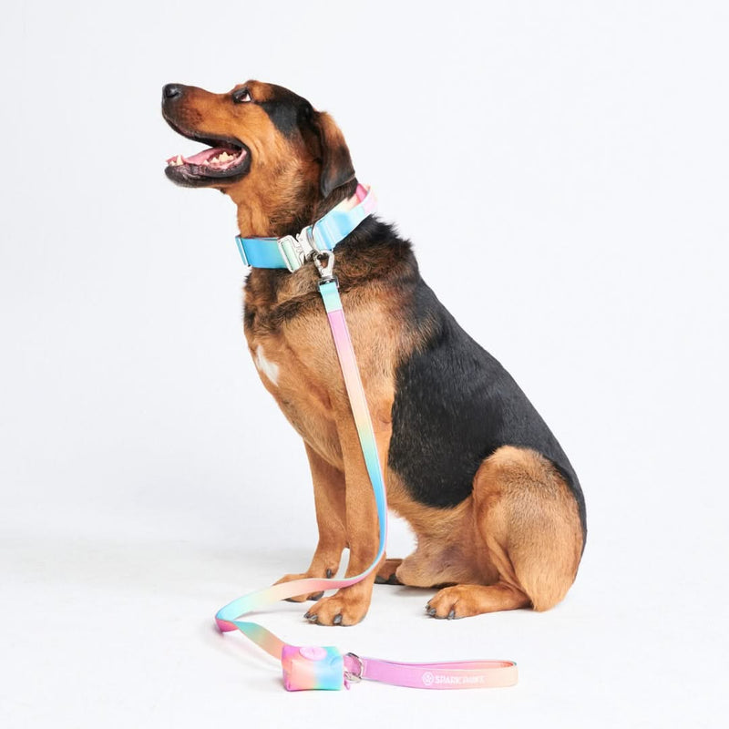 Comfort Control Collar Set - Pastel Icing