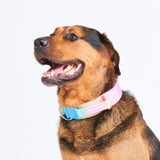 Comfort Control Collar - Pastel Icing