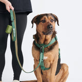 Comfort Control No-Pull Dog Harness Set - Army Green