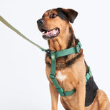 Comfort Control No-Pull Dog Harness Set - Army Green