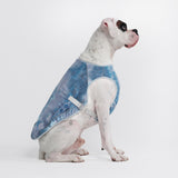 Chilltech™ Dog Cooling Vest (Multi Color)