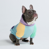 Daydream Dog Hoodie