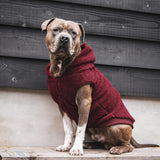 Teddy Sherpa Dog Jacket - Maroon