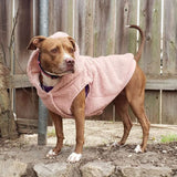 Teddy Sherpa Dog Jacket - Pink