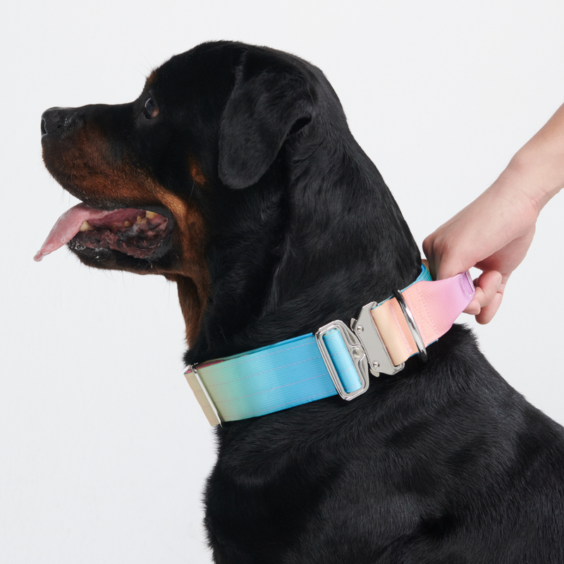 Comfort Control Collar - Pastel Icing