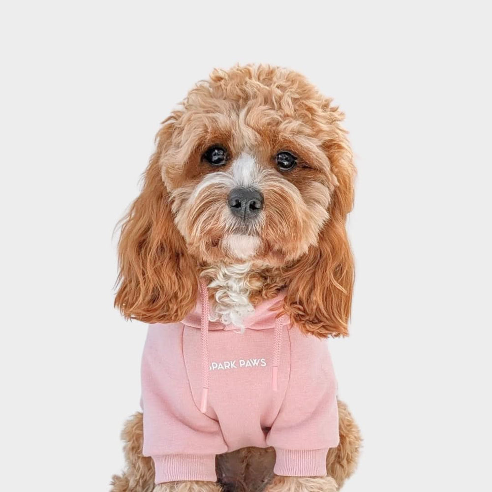 Essential Dog Hoodies – SPARK PAWS Essential Dog Hoodies – SPARK PAWS
