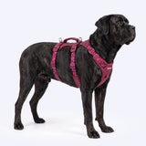 Fuchsia Camo Escape Proof||size:5