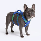 Lime Wave Escape Proof||size:2
