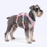 Pastel Icing Escape Proof||size:1