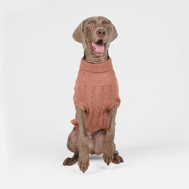 Cable Knit Dog Sweater - Brown