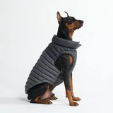 Black PuffShield Jacket||size:3XL,4XL