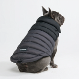 Black PuffShield Jacket||size:L,XL