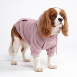Essential Dog Hoodie - Purple Taupe
