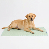Orb Green||size:2XL