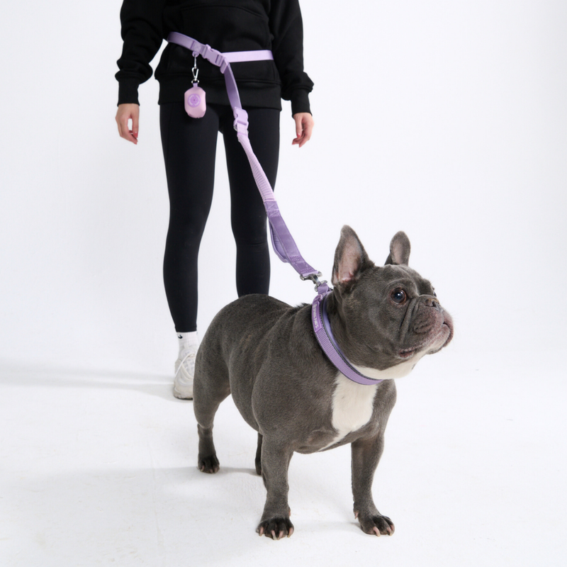 Lilac Neoprene Leash