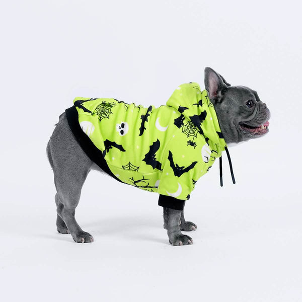 Halloween Dog Hoodie - Neon