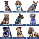 Green Harness||size:S,M,L