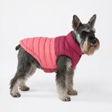 Red PuffShield Jacket||size:S,M