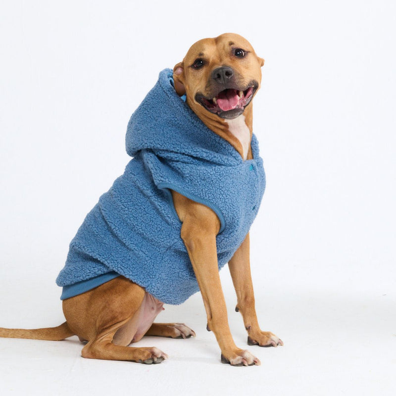 Teddy Sherpa Dog Sweater - Blue