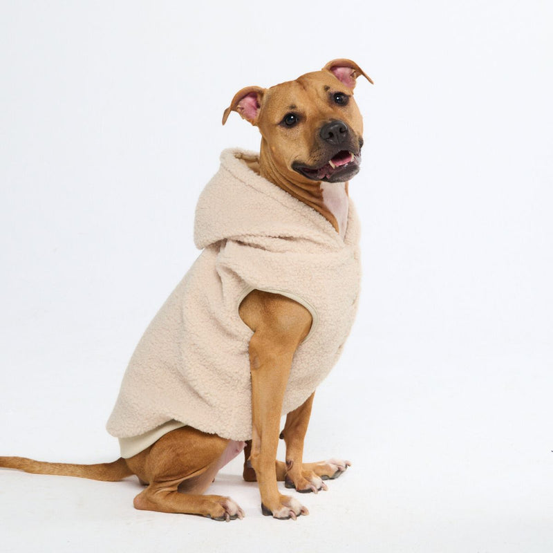 Teddy Sherpa Dog Sweater - Beige