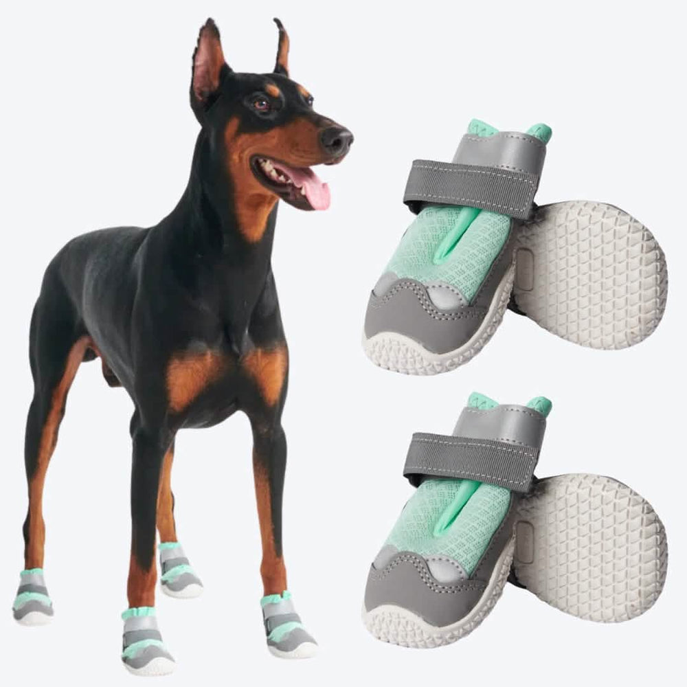 Hot Pavement Pawtector Dog Shoes Teal – SPARK PAWS