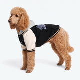 Black Varsity Jacket||size:3XL