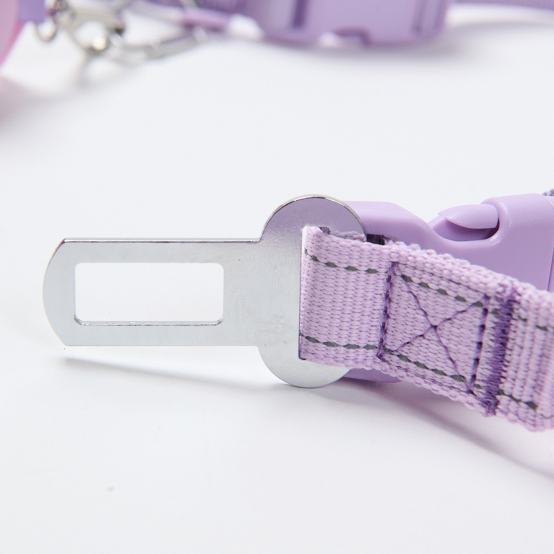 Lilac Neoprene Leash