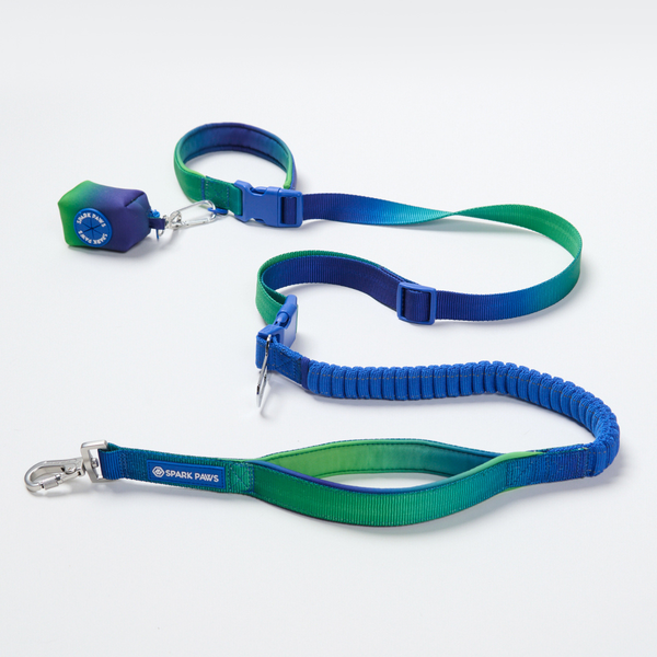 Multipurpose Seatbelt Handsfree Leash & Poop Bag Holder Set - Lime Wave