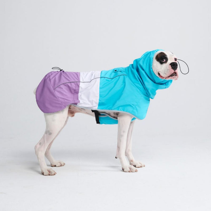 Dog Raincoat - Blue White Purple