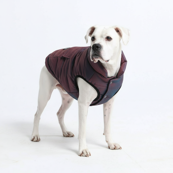 WarmShield Water-Resistant Jacket - Cosmic