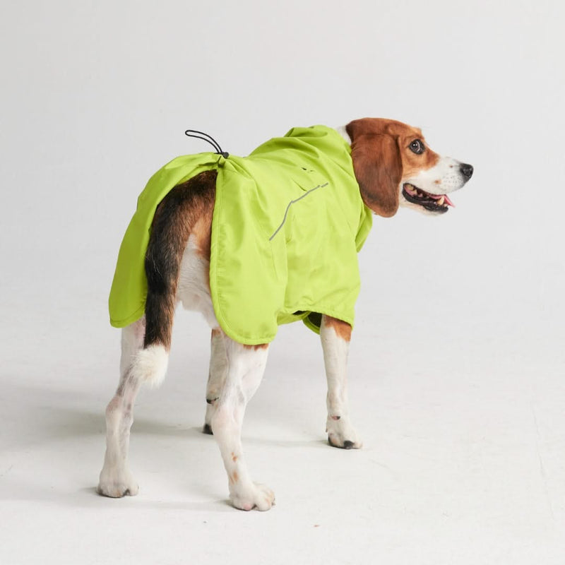 Dog Raincoat - Lime Green