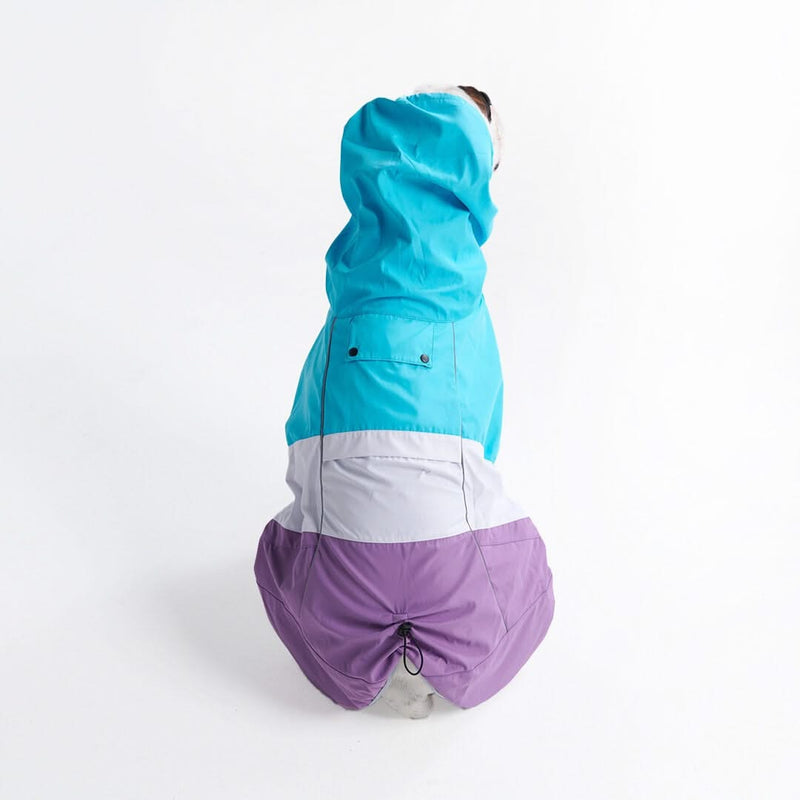 Dog Raincoat - Blue White Purple