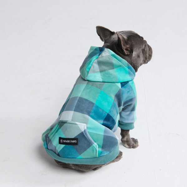 Velvet Dog Hoodie - Turquoise Checkered