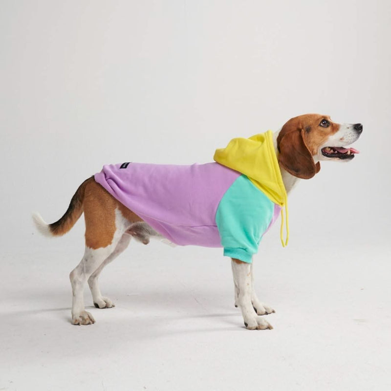 Purple Turquoise Yellow Dog Hoodie