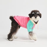 Pink Turquoise Cream Color Block Dog Hoodie
