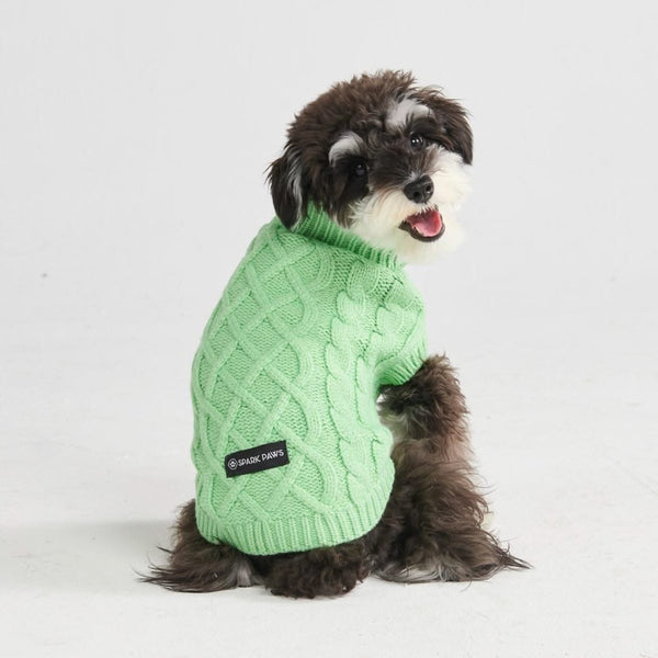 Dog knit best sale sweater