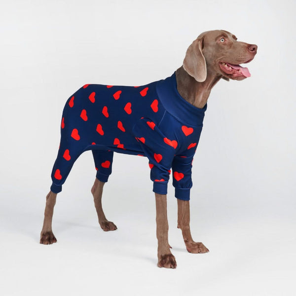 Dog Pajamas