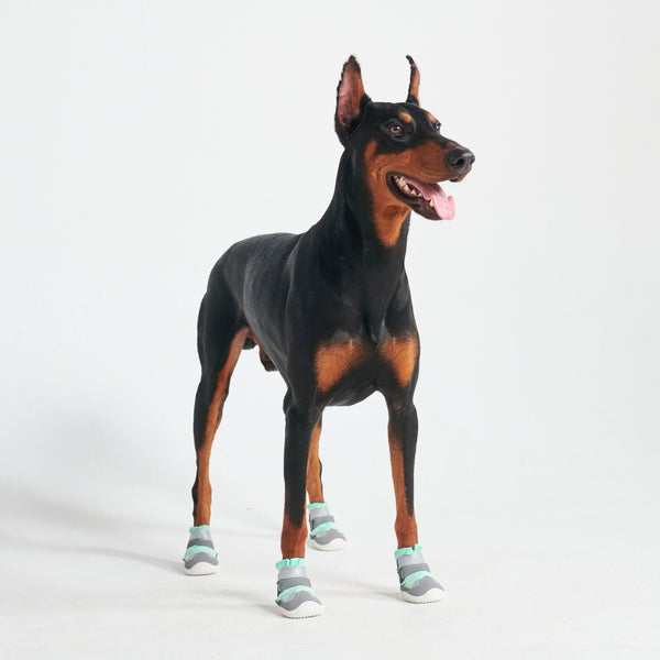 Hot Pavement Pawtector Dog Shoes - Teal