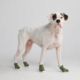 Hot Pavement Pawtector Dog Shoes - Green