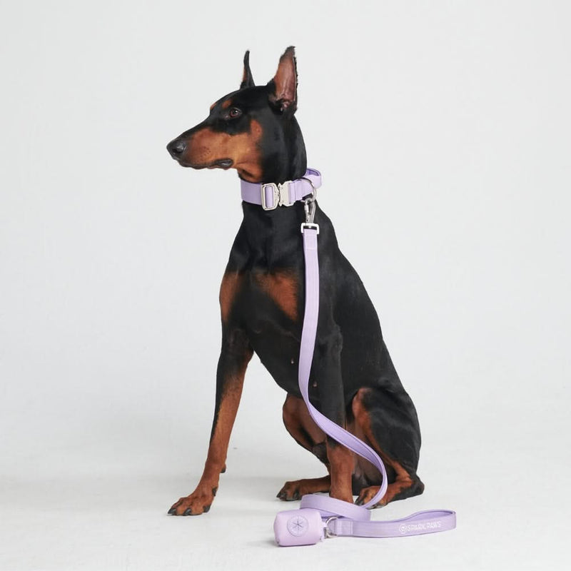 Comfort Control Collar Set - Lilac