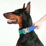 Comfort Control Collar - Lime Wave