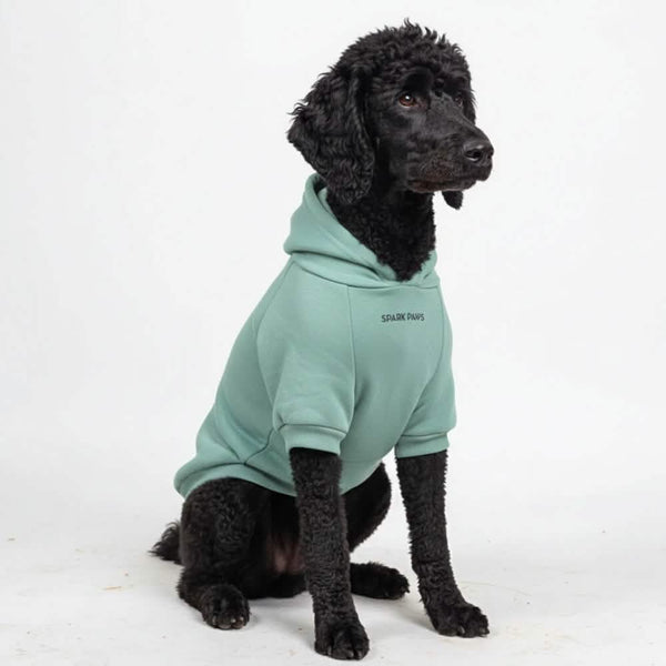 Essential Dog Hoodie - Teal