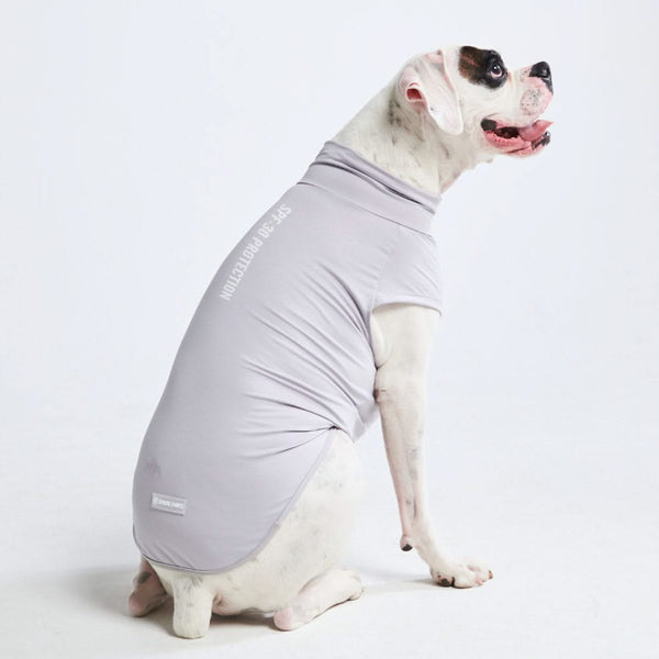 Sunblock Dog T-Shirt - Grey