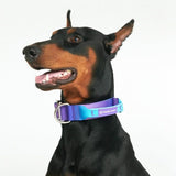 Comfort Control Collar - 90s Retro