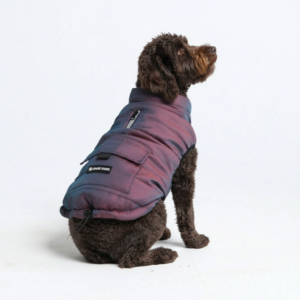 WarmShield Water-Resistant Jacket - Cosmic