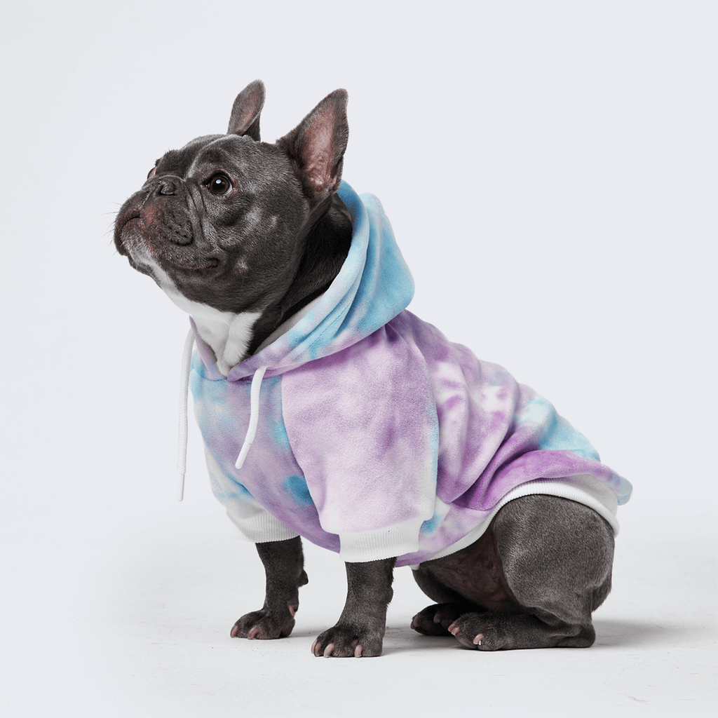 Premium clearance dog clothes