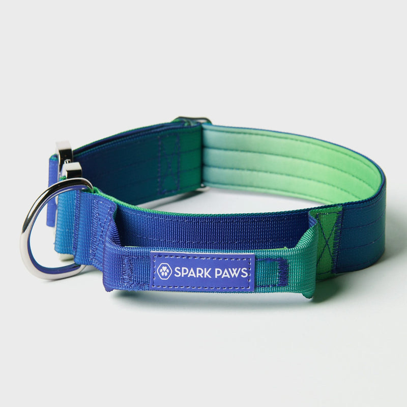 Tactical Dog Collar Set - Lime Wave (1.5"/4cm)