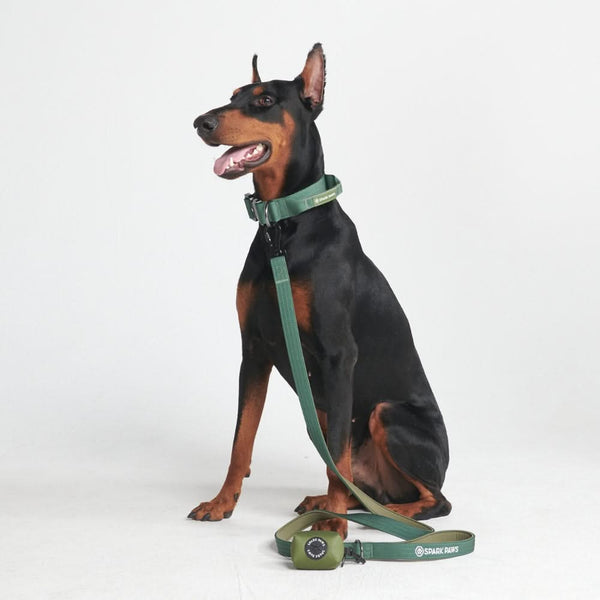 Tactical Dog Collar Set - Army Green (1.5"/4cm)