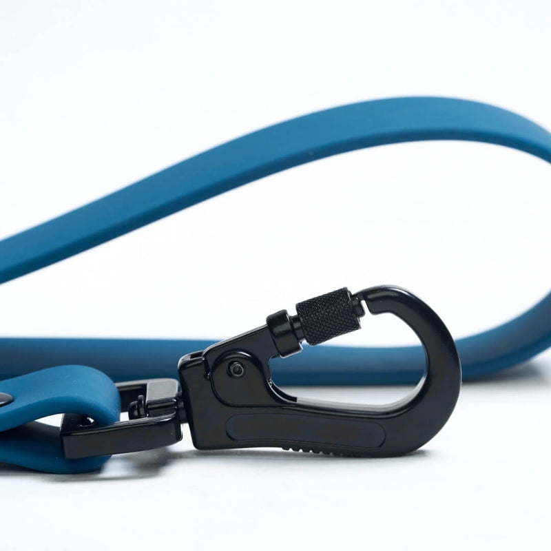 Waterproof PVC Dog Leash - Blue